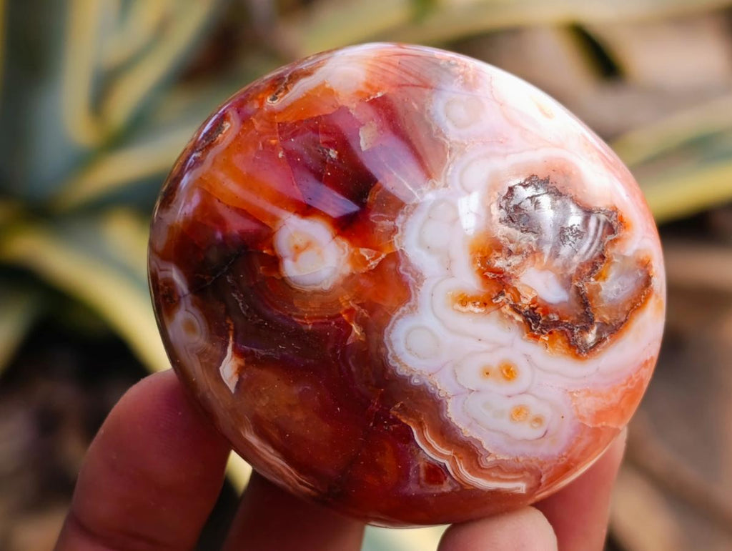 Polished Carnelian Agate Gemstone Galets x 12 From Madagascar