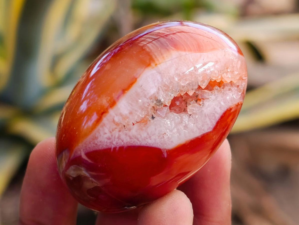 Polished Carnelian Agate Gemstone Galets x 12 From Madagascar