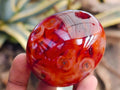 Polished Carnelian Agate Gemstone Galets x 12 From Madagascar