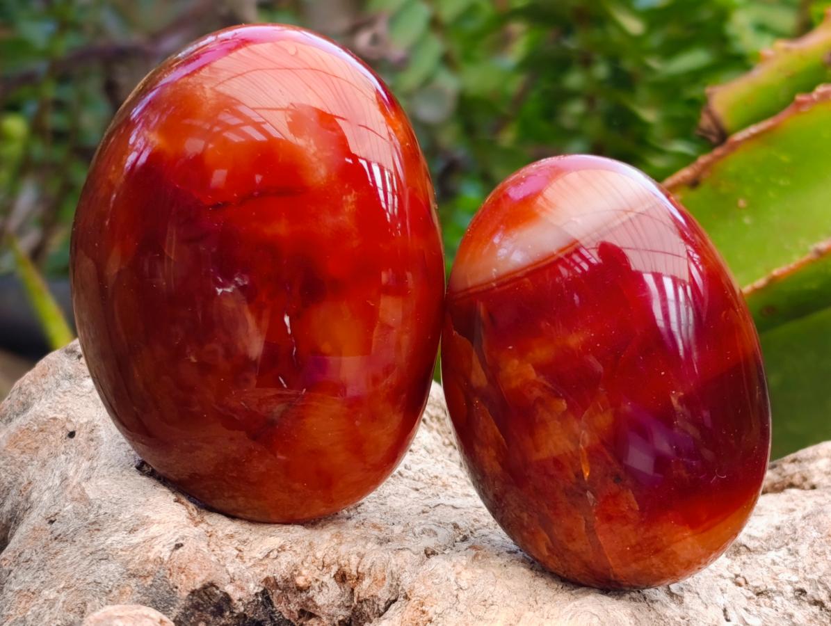 Polished Carnelian Agate Gemstone Galets x 12 From Madagascar