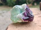 Natural Watermelon Fluorite Cobbed Specimens x 24 From Uis, Namibia