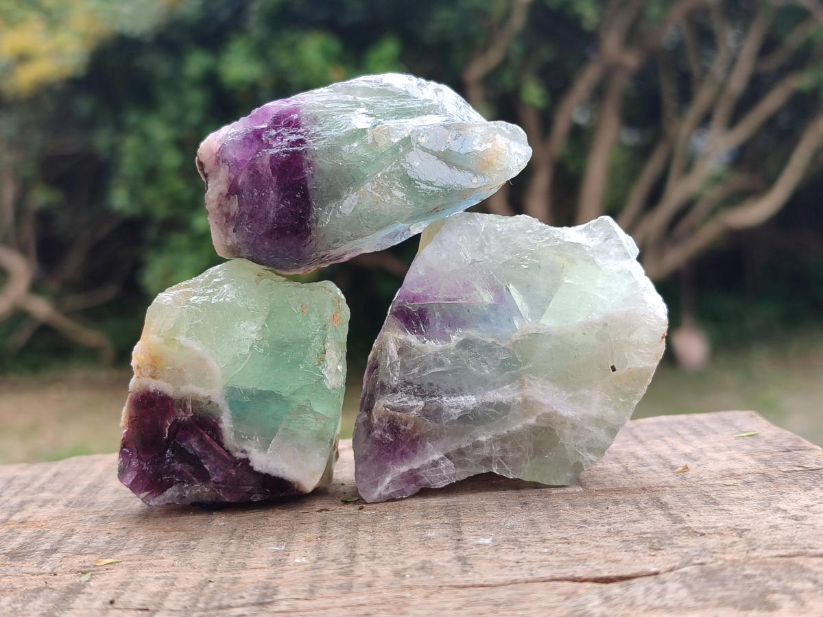 Natural Watermelon Fluorite Cobbed Specimens x 24 From Uis, Namibia