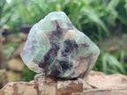 Natural Watermelon Fluorite Cobbed Specimens x 24 From Uis, Namibia