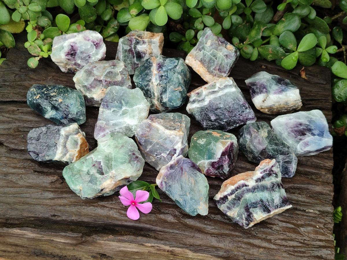 Natural Watermelon Fluorite Cobbed Specimens x 24 From Uis, Namibia