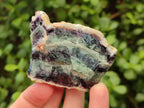 Natural Watermelon Fluorite Cobbed Specimens x 24 From Uis, Namibia