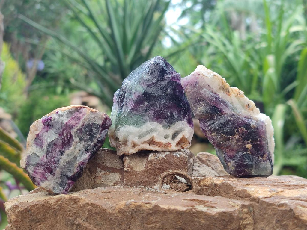 Natural Watermelon Fluorite Cobbed Specimens x 24 From Uis, Namibia