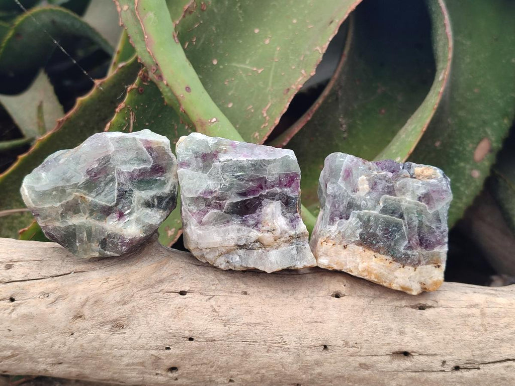 Natural Watermelon Fluorite Cobbed Specimens x 24 From Uis, Namibia