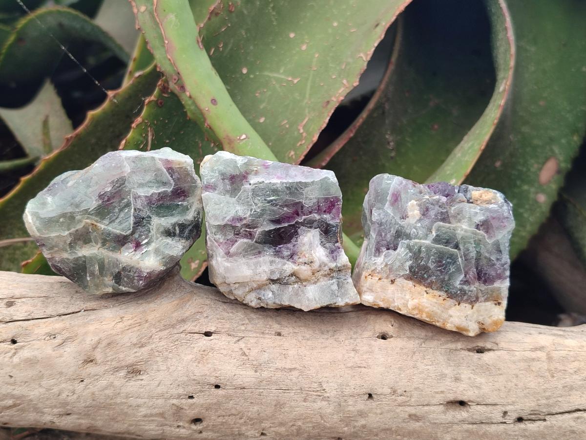 Natural Watermelon Fluorite Cobbed Specimens x 24 From Uis, Namibia