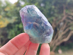 Natural Watermelon Fluorite Cobbed Specimens x 24 From Uis, Namibia