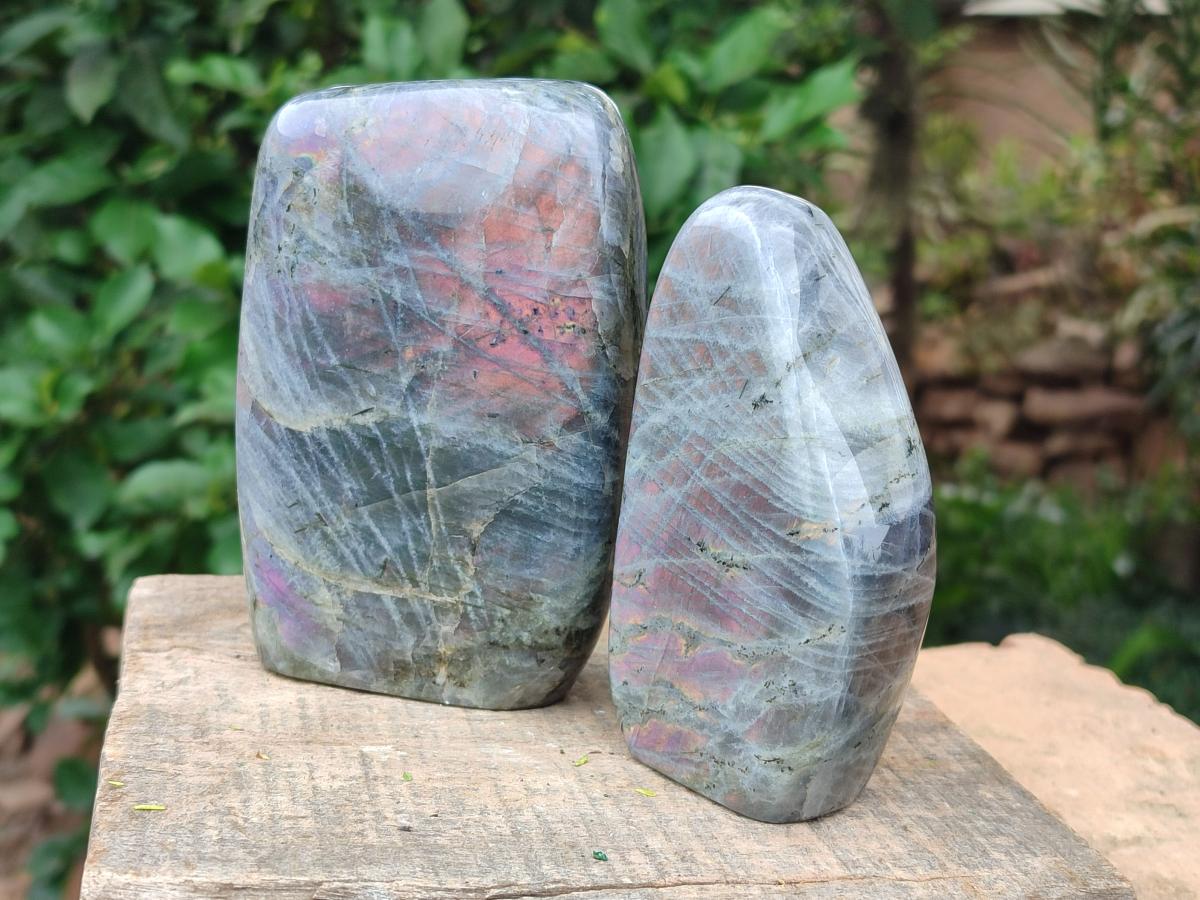 Polished Rare Purple Sunset Flash Labradorite Standing Free Forms x 2 From Madagascar