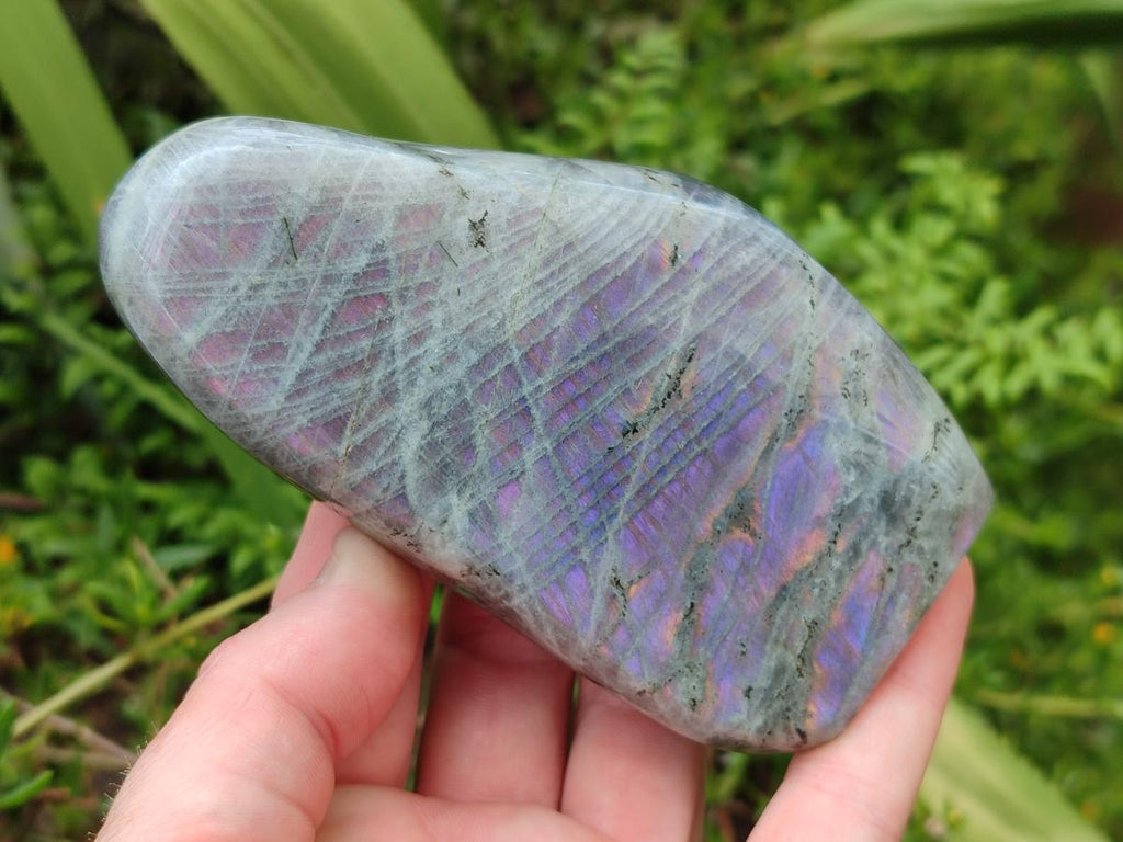 Polished Rare Purple Sunset Flash Labradorite Standing Free Forms x 2 From Madagascar