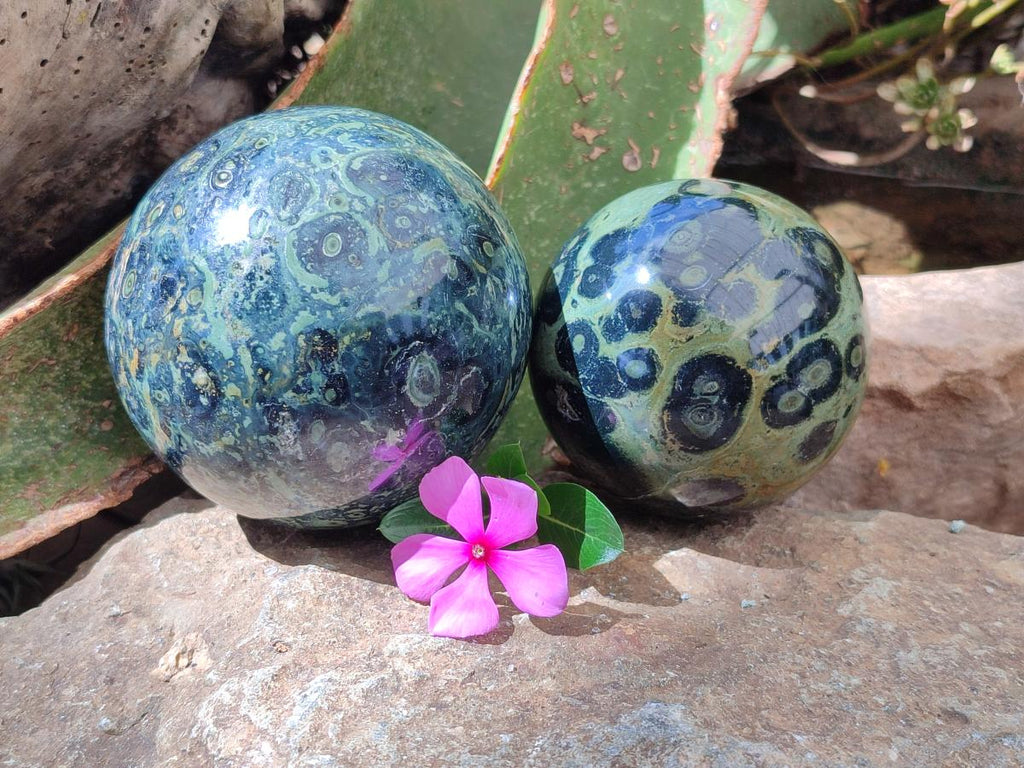 Polished Stromatolite Spheres x 2 From Katsepy, Madagascar