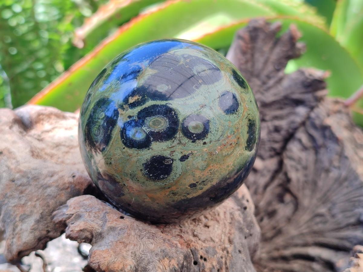 Polished Stromatolite Spheres x 2 From Katsepy, Madagascar
