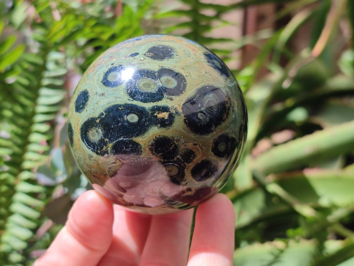 Polished Stromatolite Spheres x 2 From Katsepy, Madagascar
