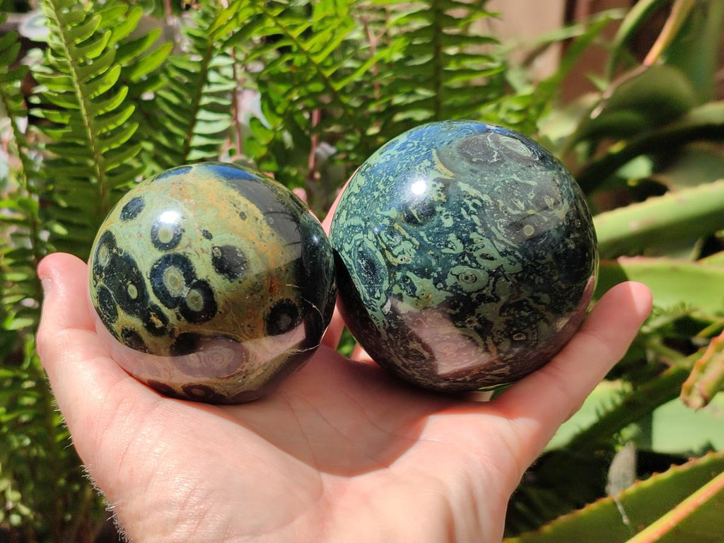 Polished Stromatolite Spheres x 2 From Katsepy, Madagascar