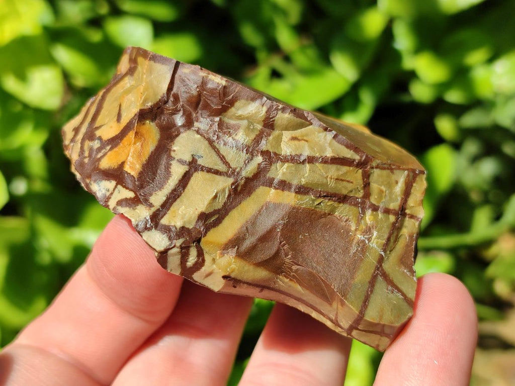 Natural Nguni Jasper Cobbed Specimens x 12 From Northern Cape, South Africa