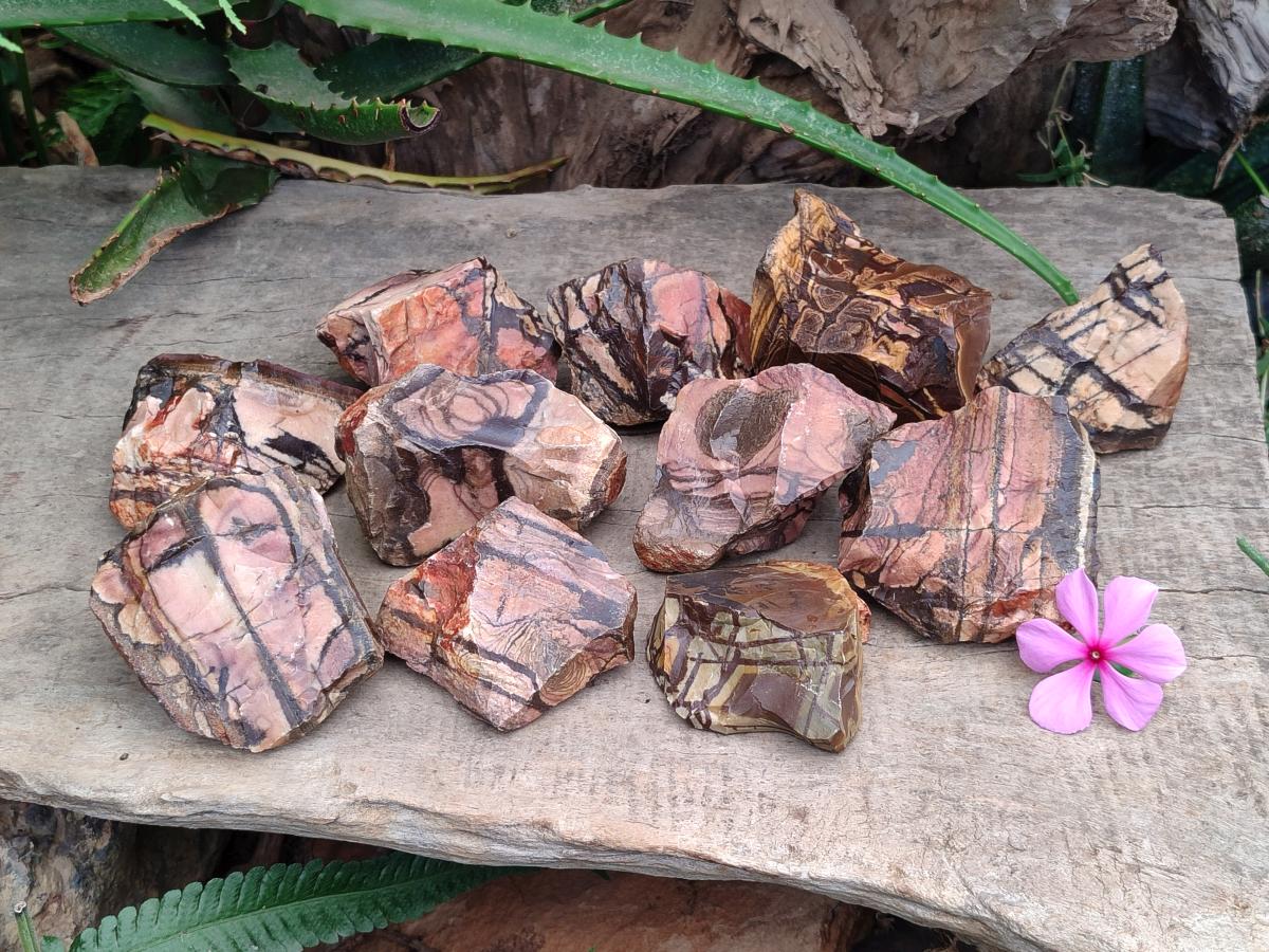 Natural Nguni Jasper Cobbed Specimens x 12 From Northern Cape, South Africa