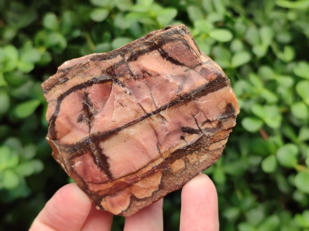 Natural Nguni Jasper Cobbed Specimens x 12 From Northern Cape, South Africa