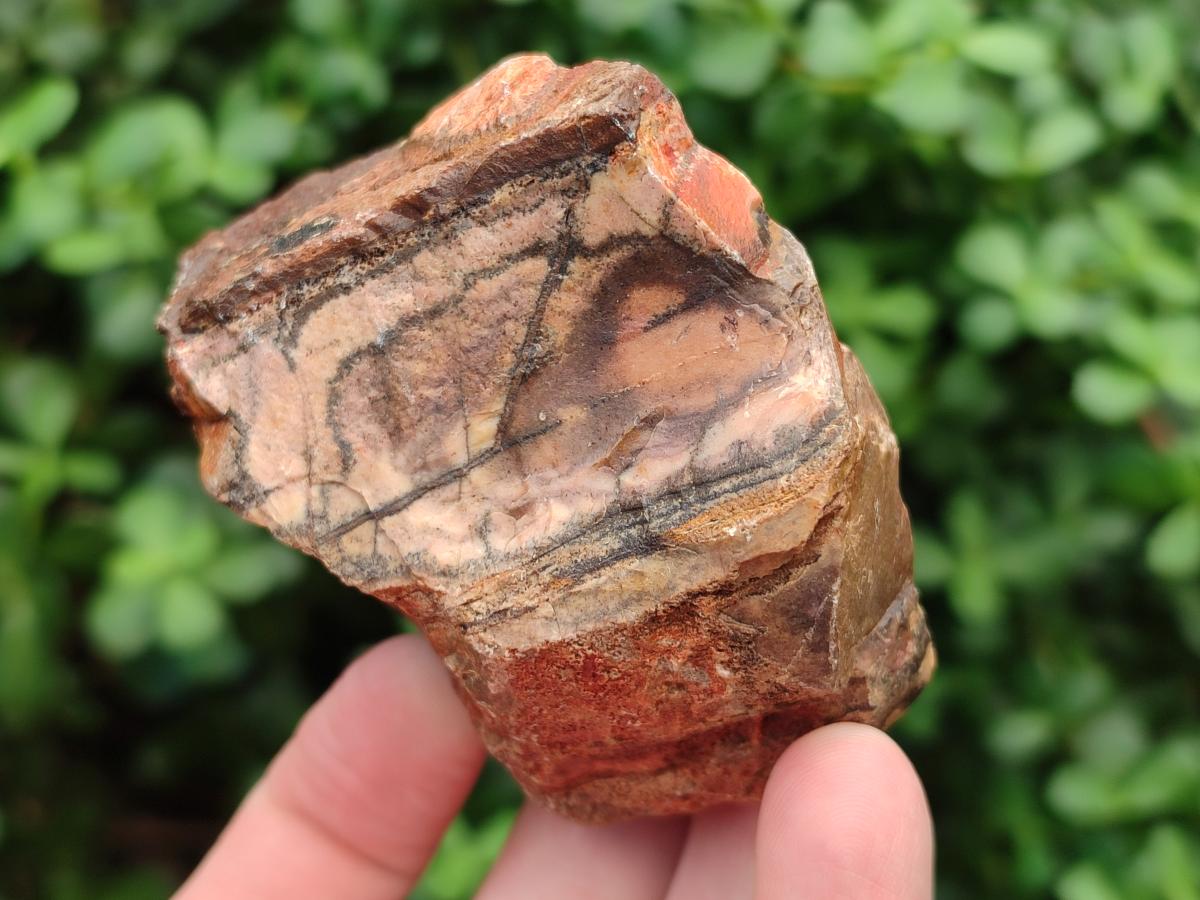 Natural Nguni Jasper Cobbed Specimens x 12 From Northern Cape, South Africa