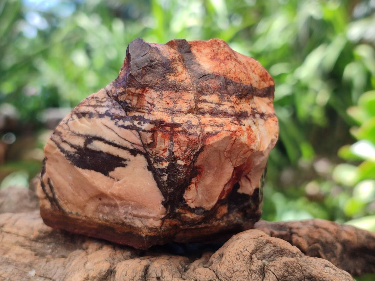 Natural Nguni Jasper Cobbed Specimens x 12 From Northern Cape, South Africa