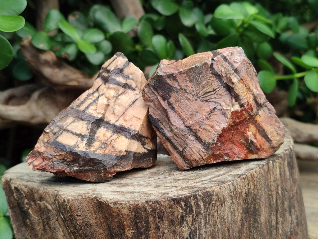 Natural Nguni Jasper Cobbed Specimens x 12 From Northern Cape, South Africa