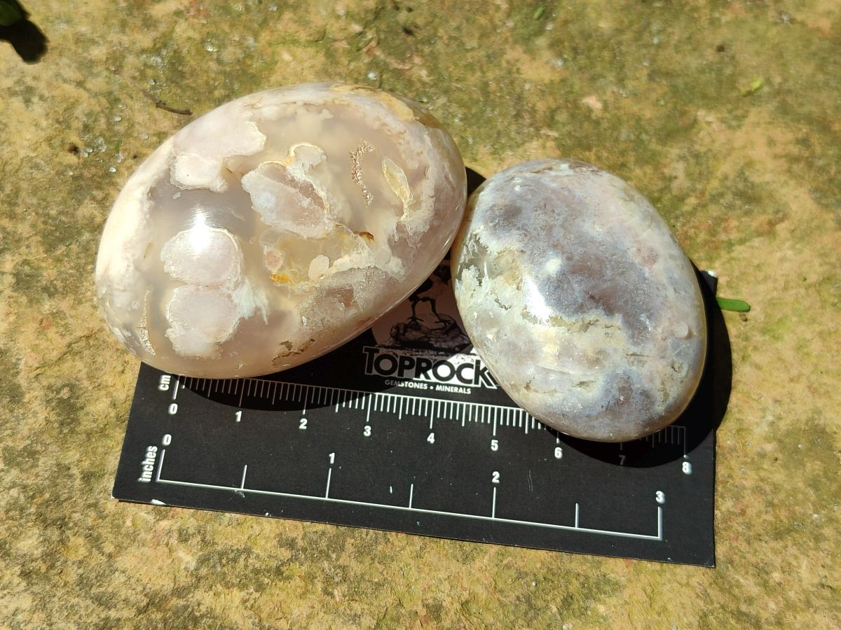 Polished Flower Agate Palm Stones x 20 From Antsahalova, Madagascar