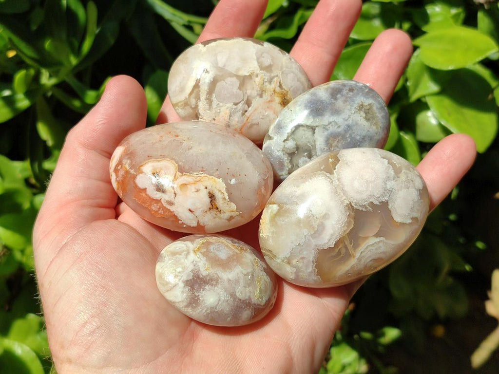 Polished Flower Agate Palm Stones x 20 From Antsahalova, Madagascar