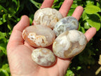Polished Flower Agate Palm Stones x 20 From Antsahalova, Madagascar