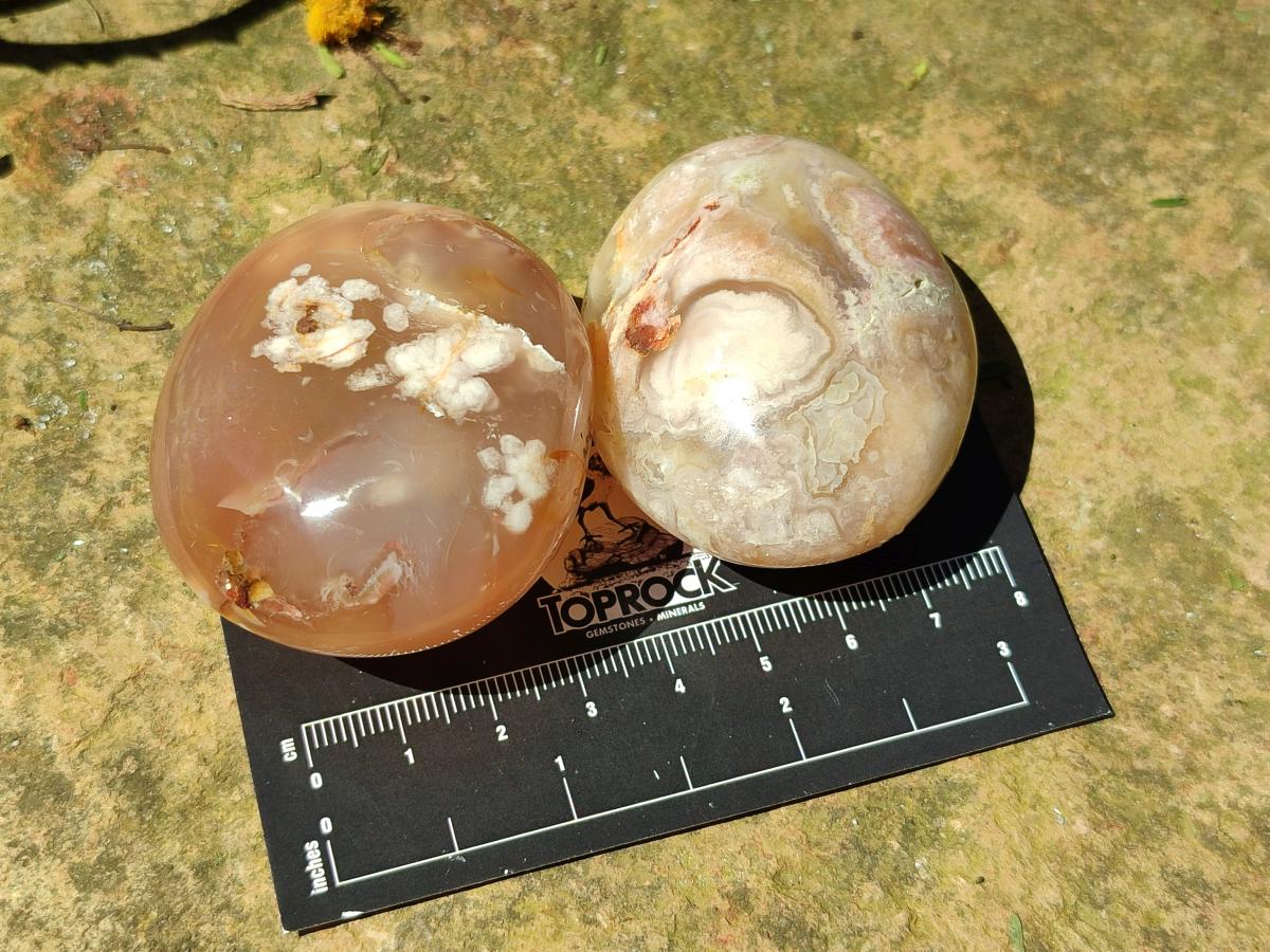 Polished Flower Agate Palm Stones x 20 From Antsahalova, Madagascar