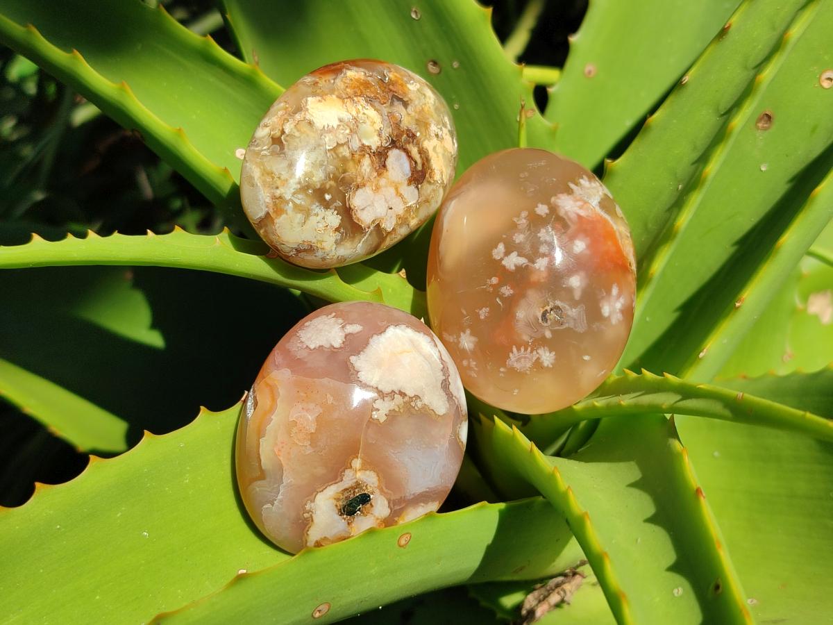 Polished Flower Agate Palm Stones x 20 From Antsahalova, Madagascar