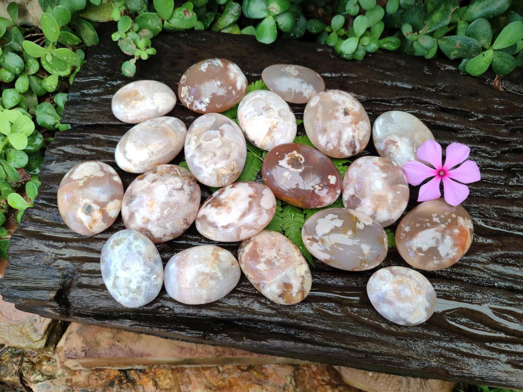 Polished Flower Agate Palm Stones x 20 From Antsahalova, Madagascar