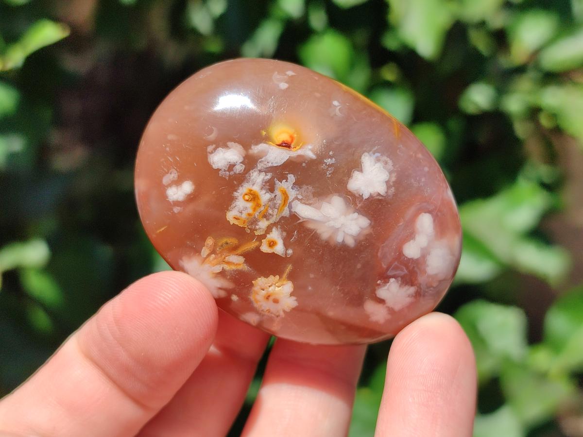 Polished Flower Agate Palm Stones x 20 From Antsahalova, Madagascar