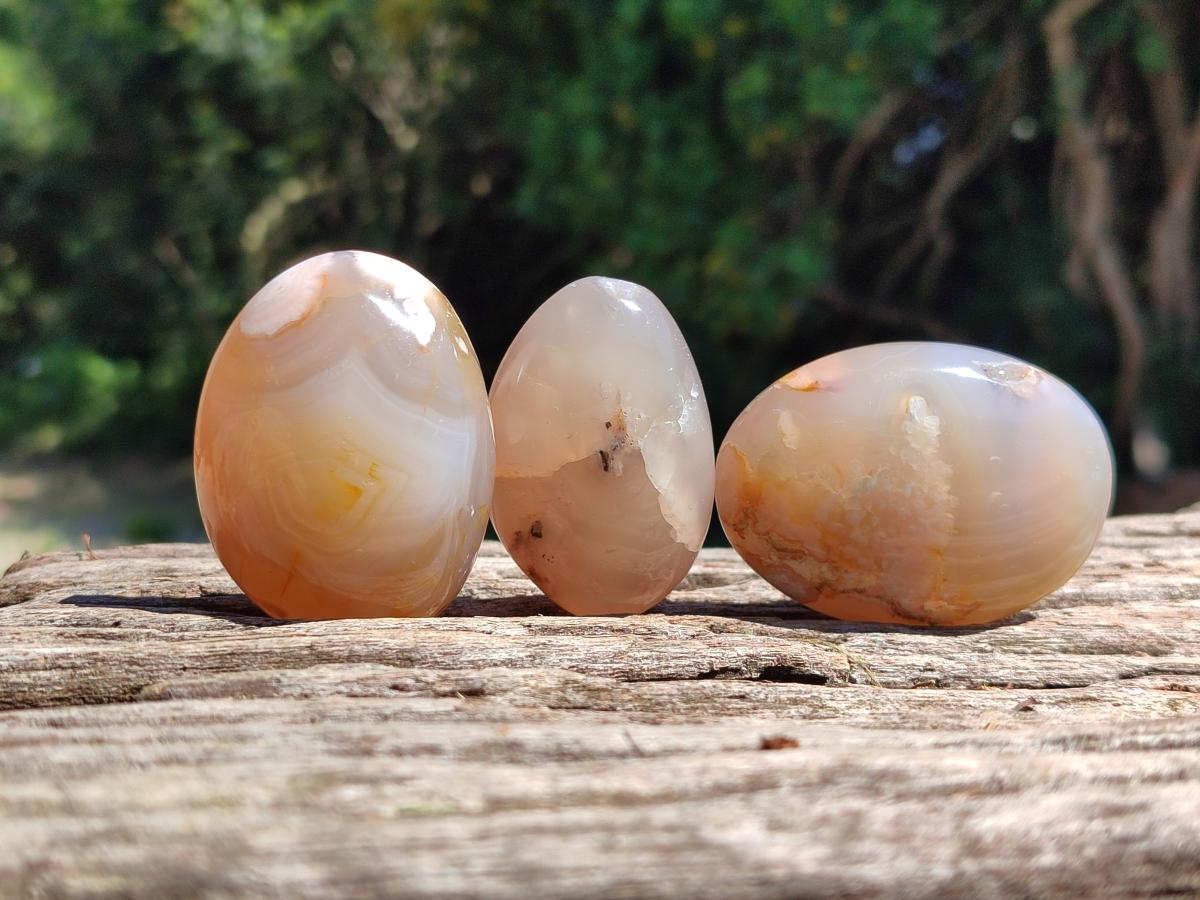Polished Flower Agate Palm Stones x 20 From Antsahalova, Madagascar