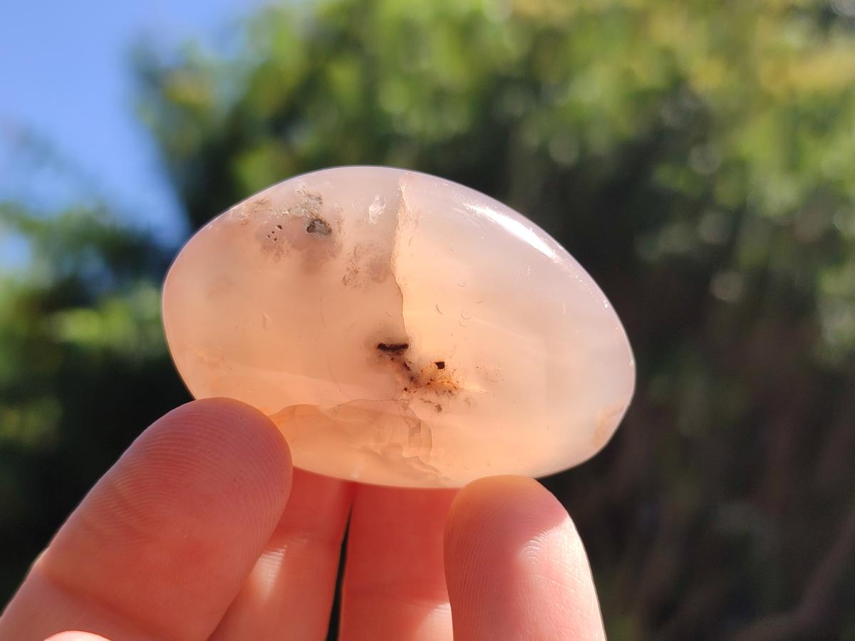 Polished Flower Agate Palm Stones x 20 From Antsahalova, Madagascar