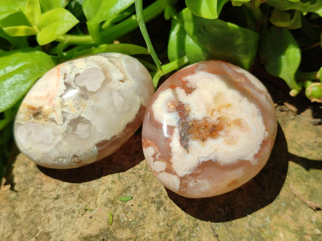 Polished Flower Agate Palm Stones x 20 From Antsahalova, Madagascar