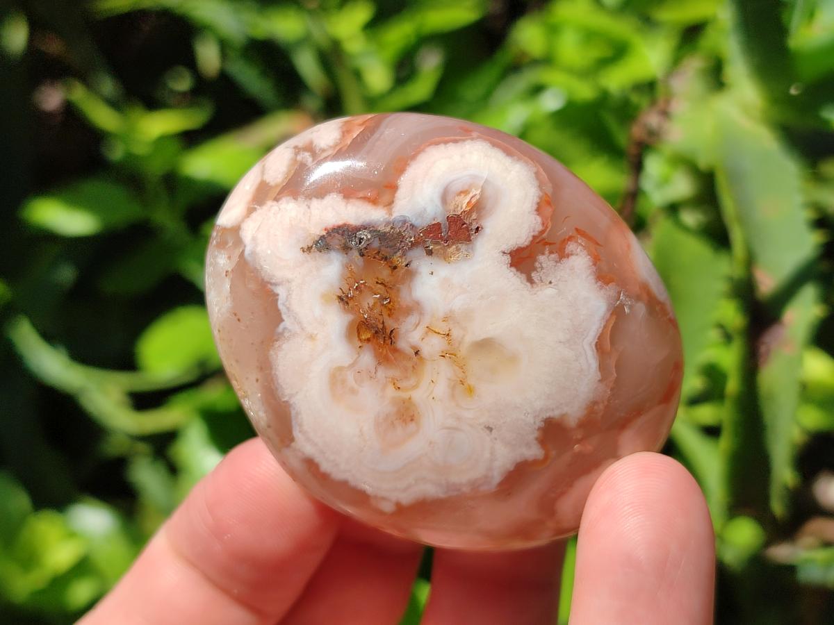 Polished Flower Agate Palm Stones x 20 From Antsahalova, Madagascar