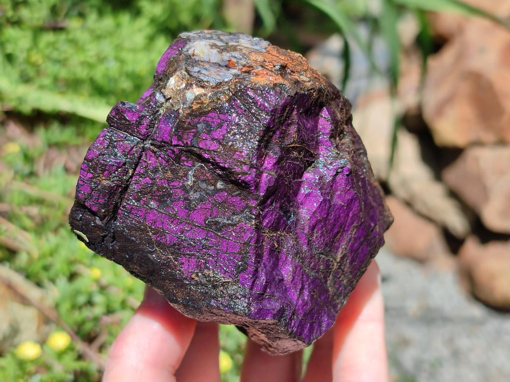 Natural Metallic Cobbed Purpurite Specimens x 4 From Erongo, Namibia