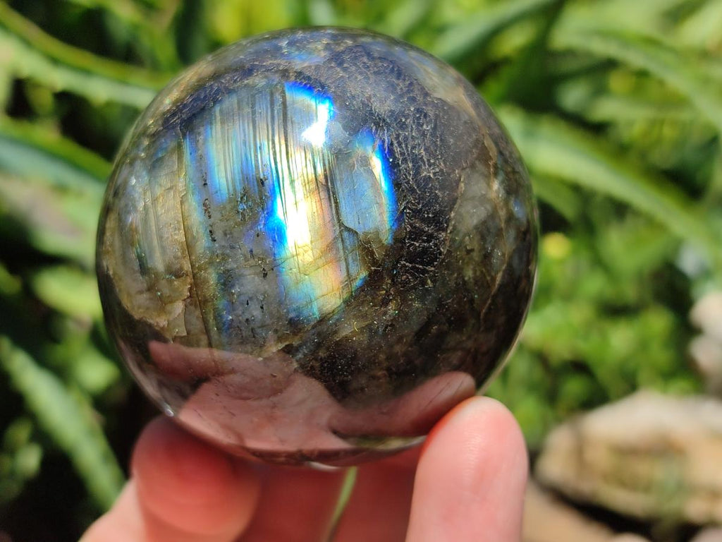 Polished Labradorite Spheres x 3 From Madagascar