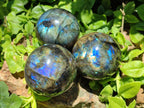 Polished Labradorite Spheres x 3 From Madagascar