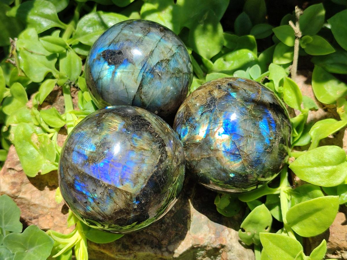 Polished Labradorite Spheres x 3 From Madagascar