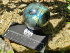 Polished Labradorite Spheres x 3 From Madagascar