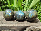 Polished Labradorite Spheres x 3 From Madagascar