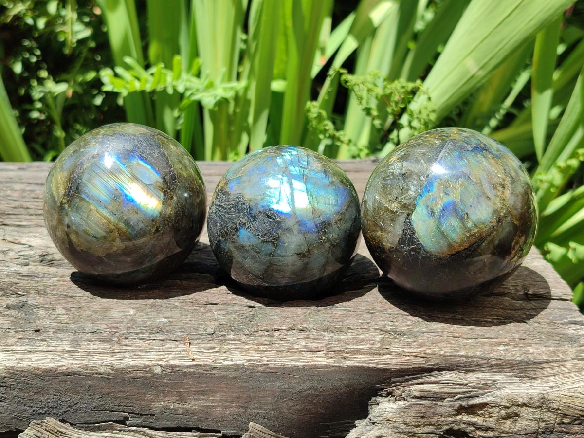 Polished Labradorite Spheres x 3 From Madagascar