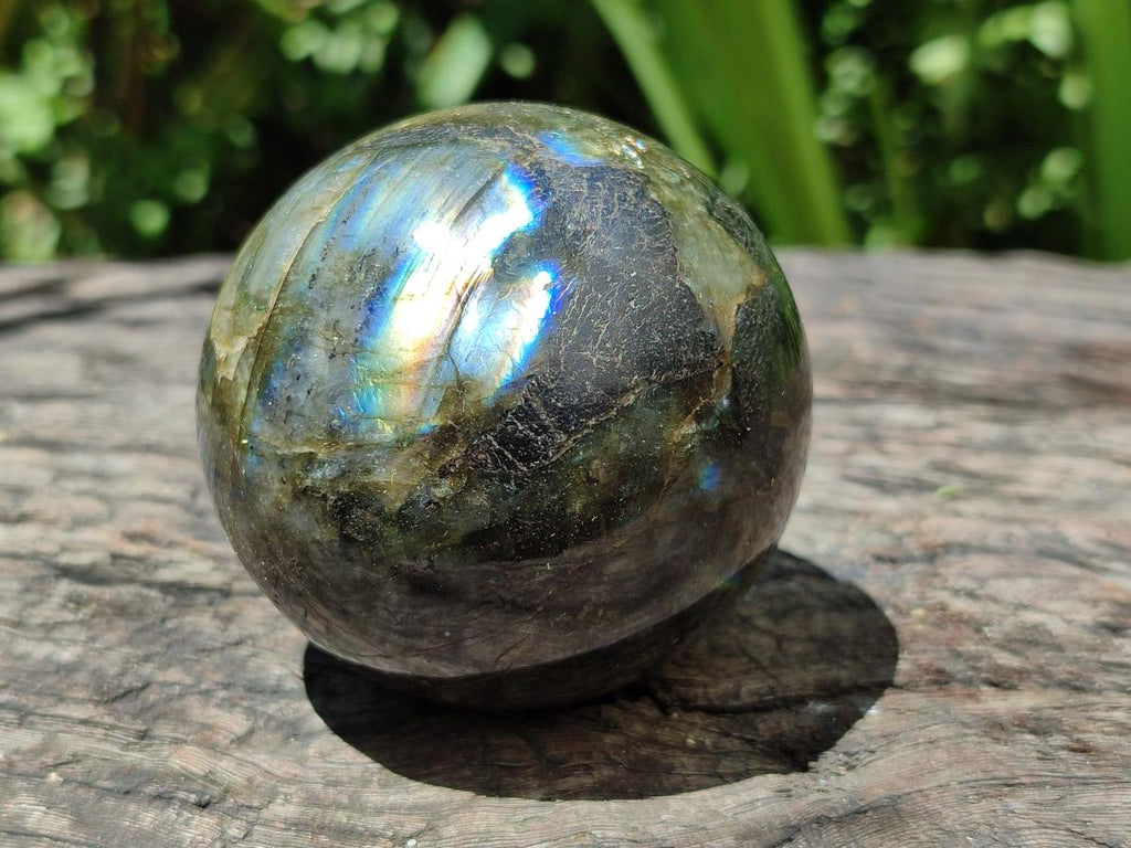 Polished Labradorite Spheres x 3 From Madagascar