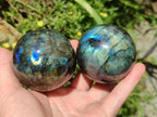 Polished Labradorite Spheres x 3 From Madagascar