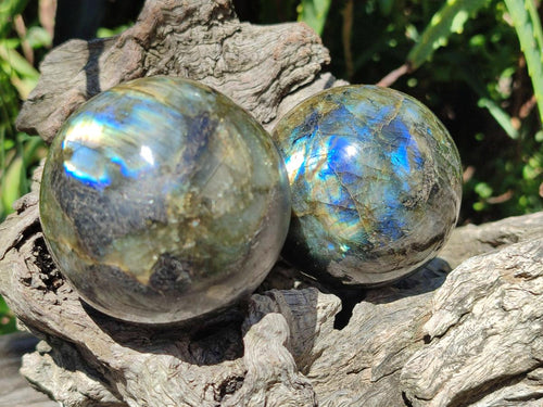 Polished Labradorite Spheres x 3 From Madagascar
