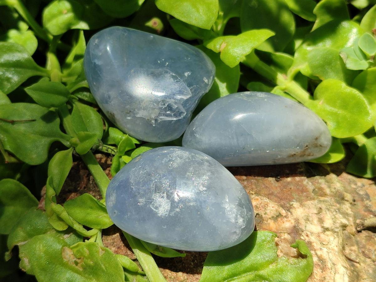 Polished Large Blue Celestite Free Form Crystals x 12 From Sakoany, Madagascar