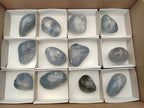 Polished Large Blue Celestite Free Form Crystals x 12 From Sakoany, Madagascar