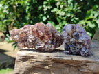 Natural Rare Amethyst Asylum Quartz Clusters x 12 From Luena, Congo