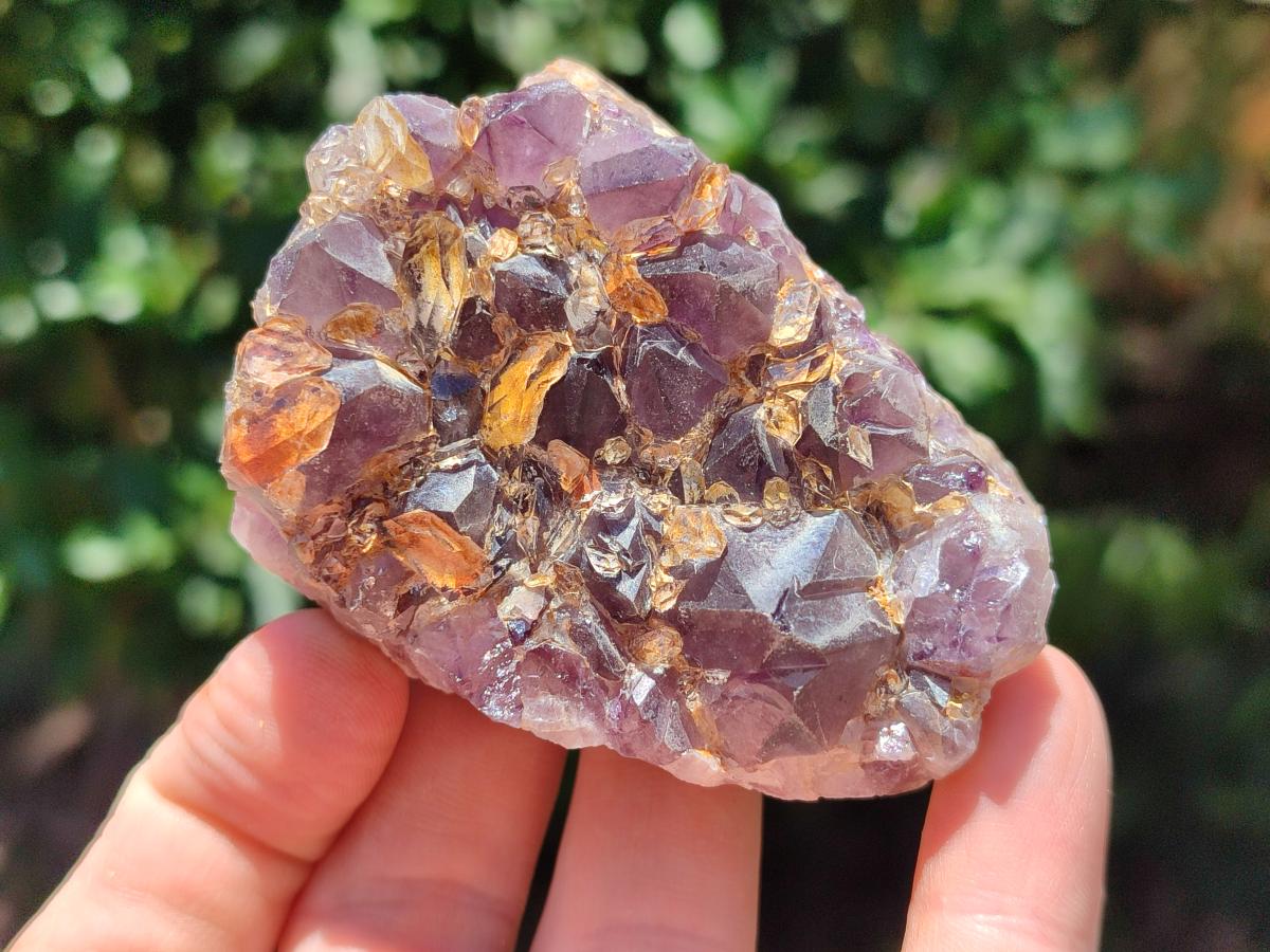 Natural Rare Amethyst Asylum Quartz Clusters x 12 From Luena, Congo
